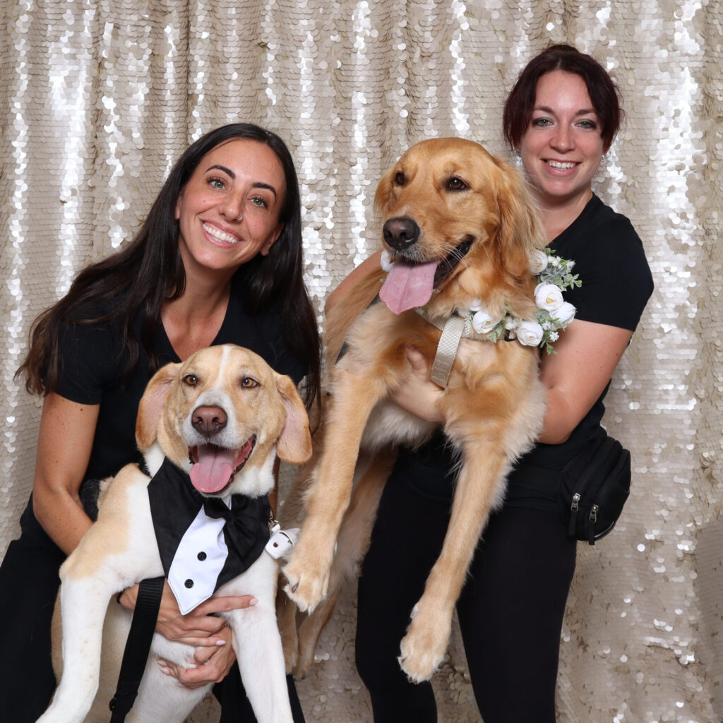 Tampa dog sitter wedding events