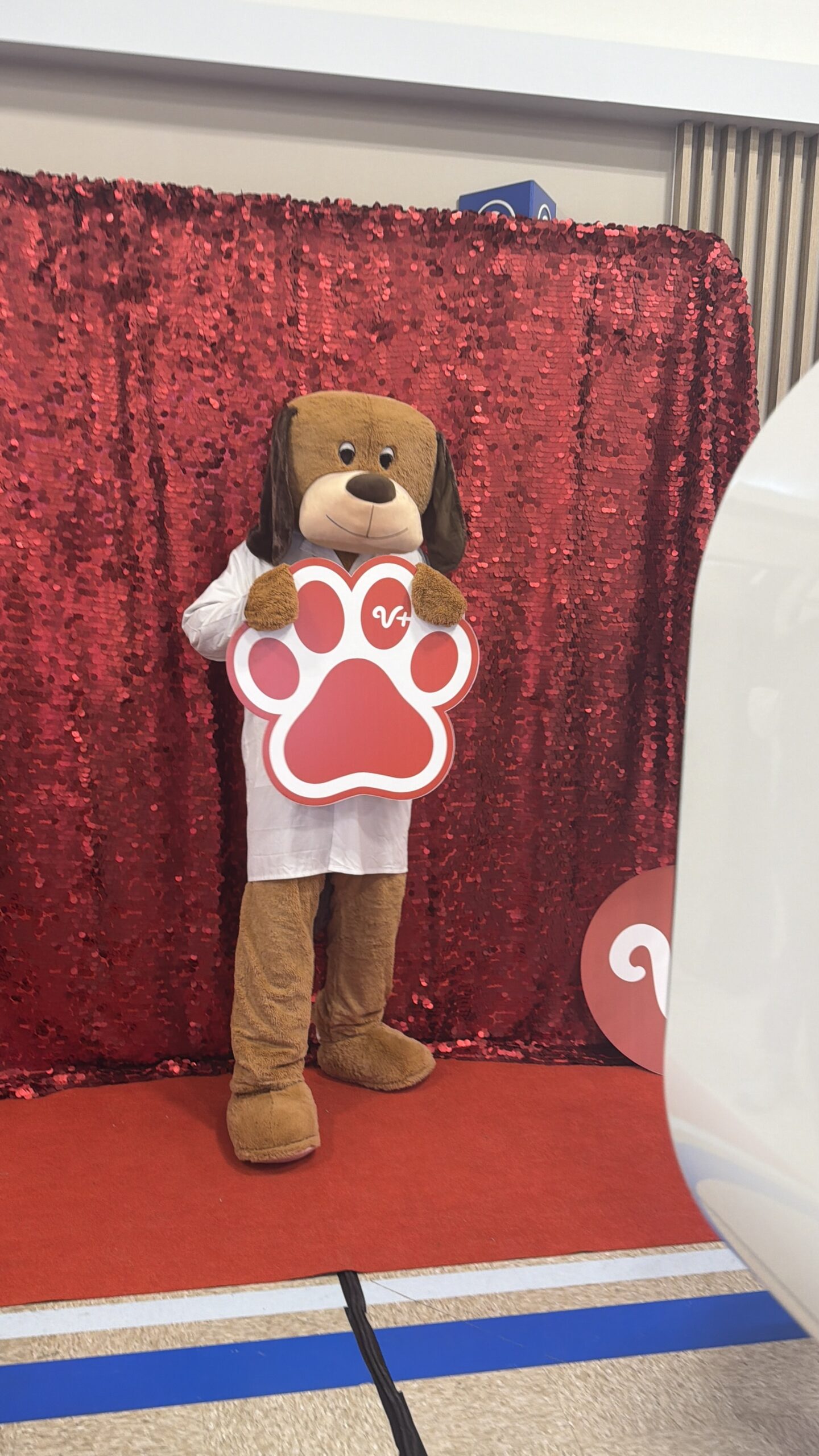 Photo Booth Brand Activations in Tampa Bay