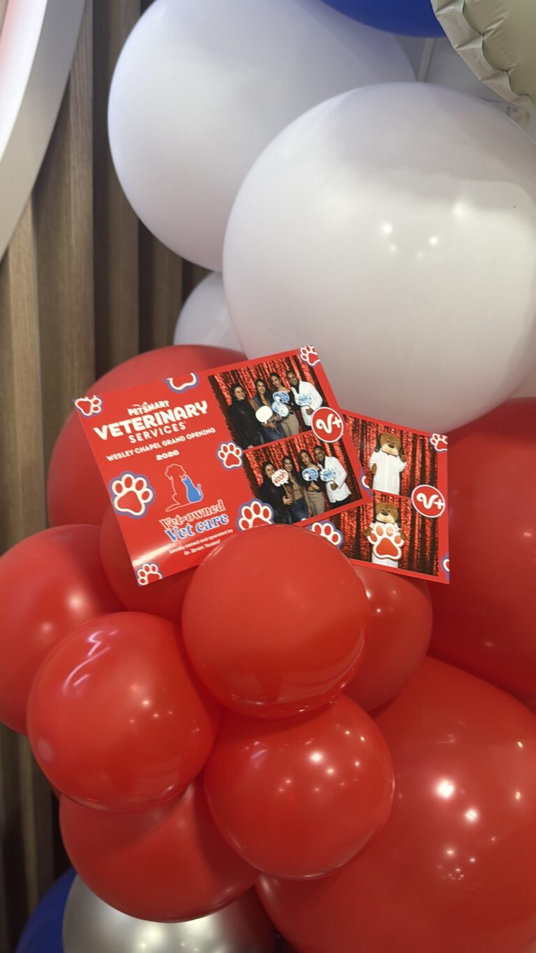 Photo Booth Brand Activations in Tampa Bay